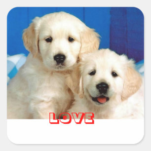 Liebe Golden Retriever Welpen Hund Aufkleber