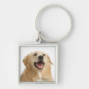 Liebe Golden Retriever Welpen Hund Schlüsselanhäng Schlüsselanhänger