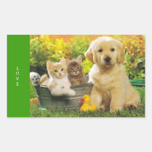 Liebe Golden Retriever Welpen Hund Stickers