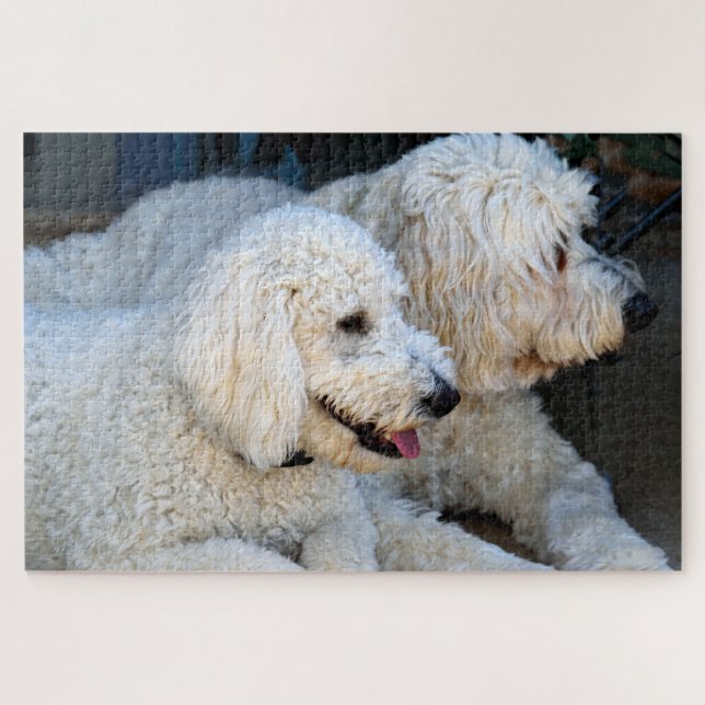Liebe Goldendoodles (Horizontal)