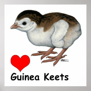 Liebe Guinea Keys Poster