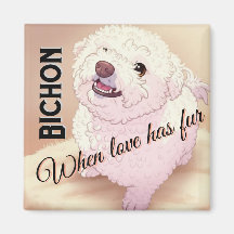 Liebe hat Fell Bichon