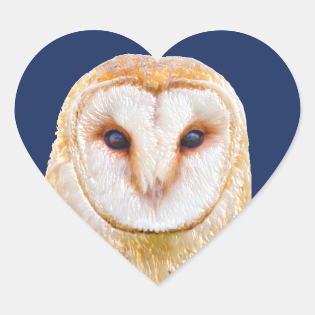 Liebe Heart Barwl Bird Animal Herz-Aufkleber (Vorderseite)