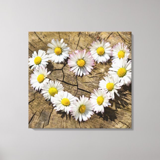 Liebe Heart Daisies Leinwanddruck (Vorderseite)