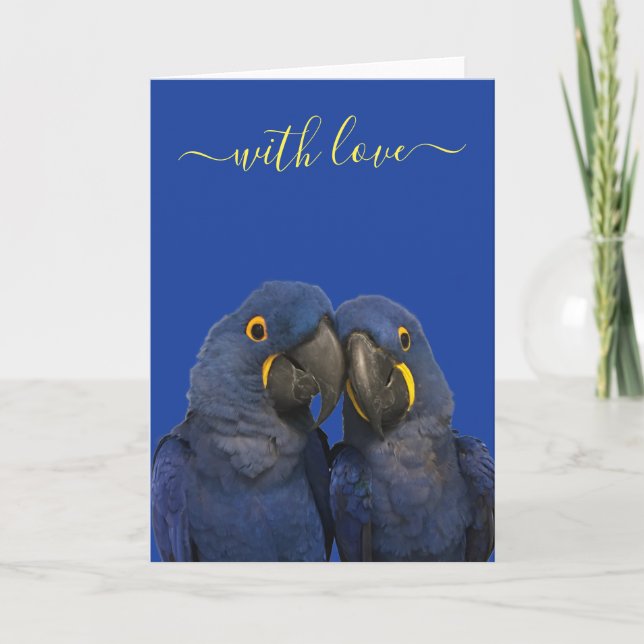 Liebe Hyacinth Macaw Parrot Bird Blue Karte (Vorderseite)