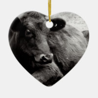 Liebe I Angus-Rindfleisch-Kuh