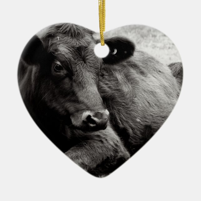 Liebe I Angus-Rindfleisch-Kuh Keramikornament (Vorne)