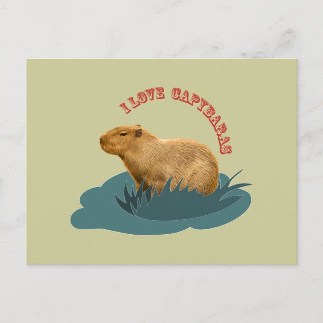 Liebe I Capybaras Postkarte (Vorderseite)