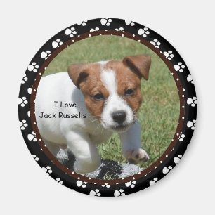 Liebe I Jack Russells Magnet