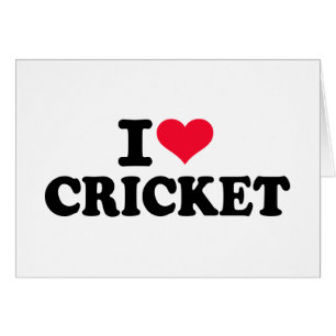 Liebe I Kricket