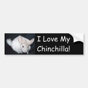 Liebe I mein chinchillah Autoaufkleber