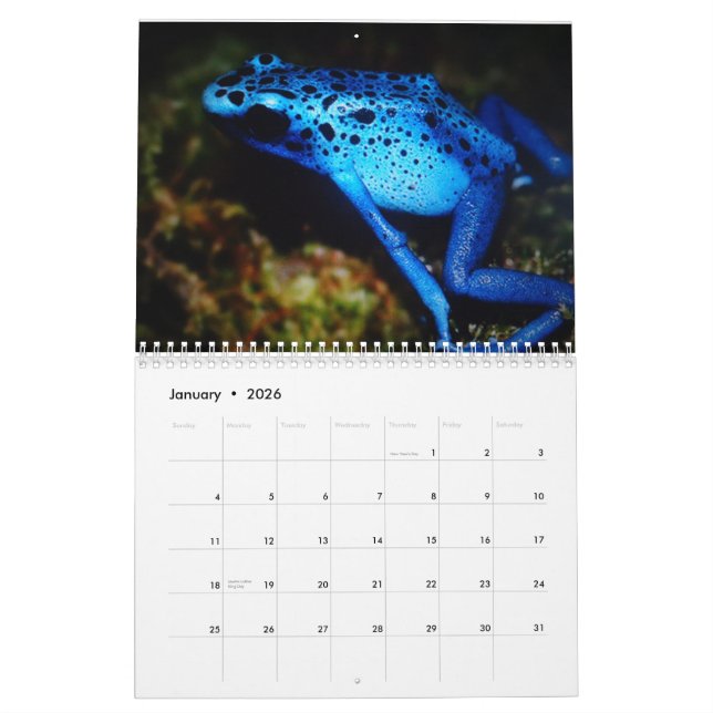 Liebe I mein Frosch-Gewohnheit Druckkalender Kalender (Jan 2026)