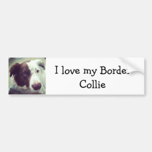 Liebe I mein Grenzcollie Autoaufkleber