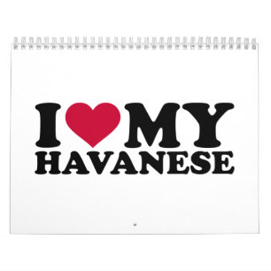 Liebe I mein Havanese Kalender