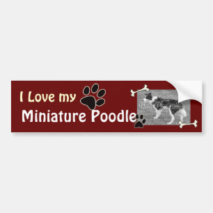 Liebe I mein minimaler Pudel-Autoaufkleber Autoaufkleber