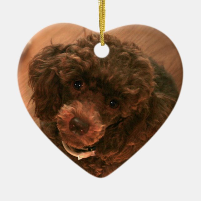 Liebe I mein Pudel Keramikornament (Vorne)