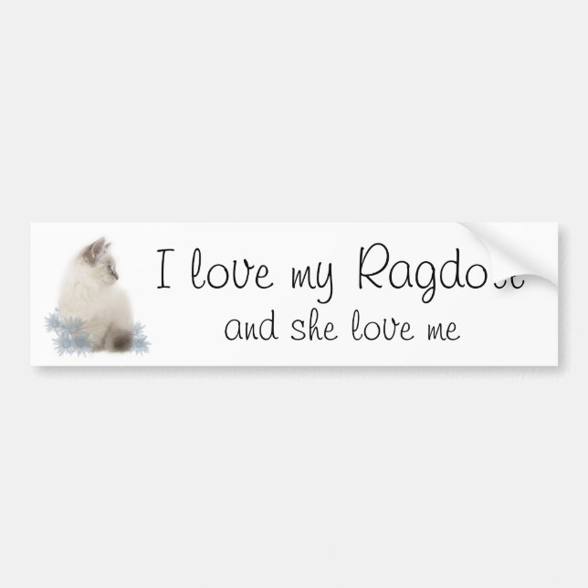 Liebe I mein ragdoll Autoaufkleber (Vorne)