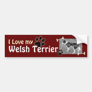 Liebe I mein Waliser-Terrier-Autoaufkleber Autoaufkleber
