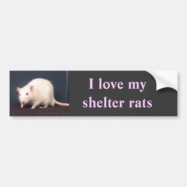 Liebe I meine Schutzratten Autoaufkleber (Vorne)