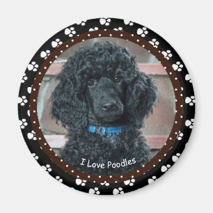 Liebe I Pudel-Magnet Magnet