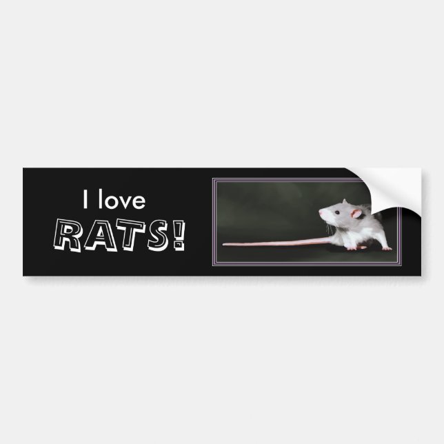 Liebe I RATTEN! - Ratten-Autoaufkleber Autoaufkleber (Vorne)
