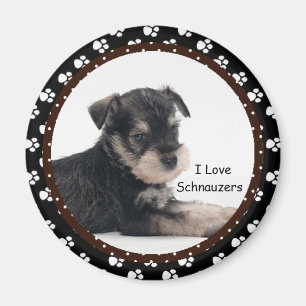 Liebe I Schnauzers-Magnet Magnet