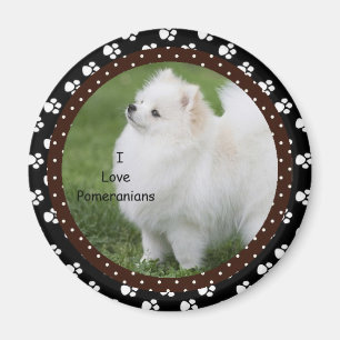 Liebe I Spitz-Hundemagnet 2 Magnet