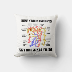 Liebe Ihre Nieren Sie sind lebenswichtig Nephron Kissen