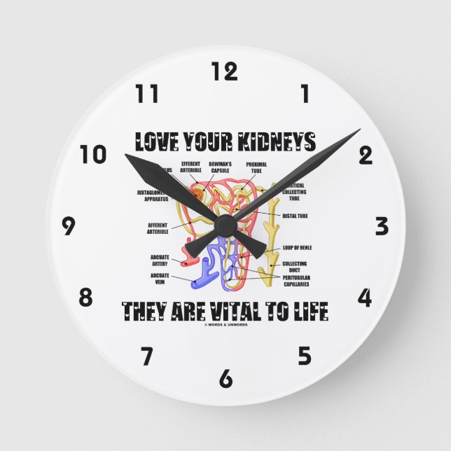 Liebe Ihre Nieren Sie sind lebenswichtig (Nephron) Runde Wanduhr (Vorderseite)