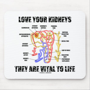Liebe Ihre Nieren sind sie wesentlich zum Leben Mousepad