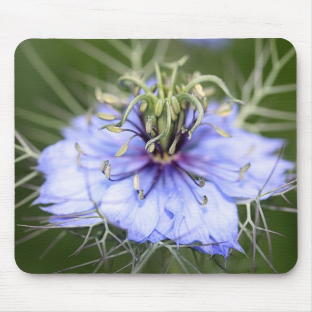Liebe in der Nebel-Blume Mousepad (Vorne)