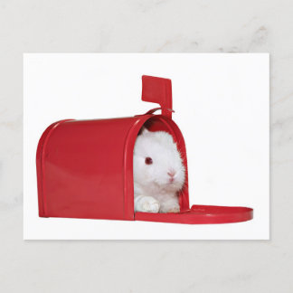 Liebe in der Post Postkarte