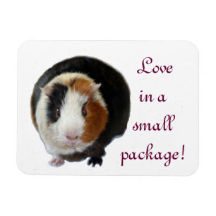 Liebe in einer Kleinsendung Magnet