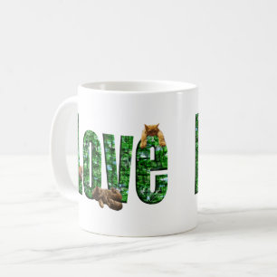 Liebe in jedem Schnurren: Kätzchen spielen auf dem Kaffeetasse