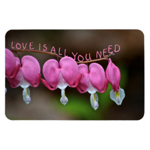 Liebe ist alles, was du brauchst magnet