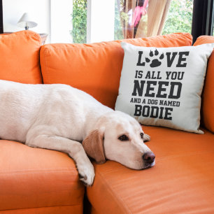 Liebe ist alles, was Sie brauchen, und ein Hund mi Kissen