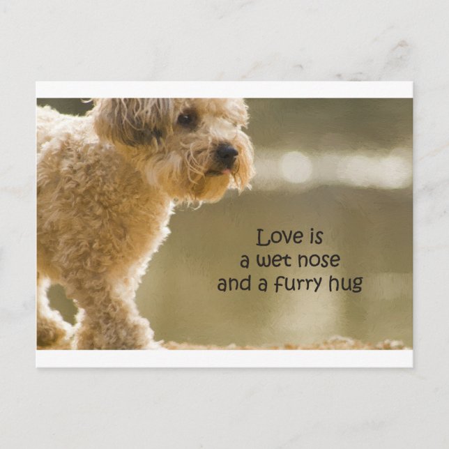 Liebe ist eine Nase der Nase und ein Wutanfall Postkarte (Vorderseite)