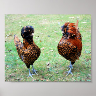 Liebe ist in der Luft Poster