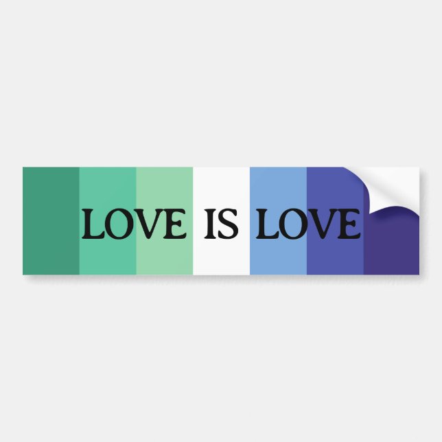 Liebe ist Liebe Gay Flag Autoaufkleber (Vorne)