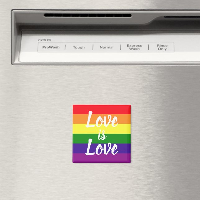 Liebe ist Liebe Rainbow LGBTQ Prix Magnet (In Situ (Geschirrspüler))