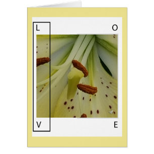 LIEBE IST LILIE - CHRISTLICHER GRUSS