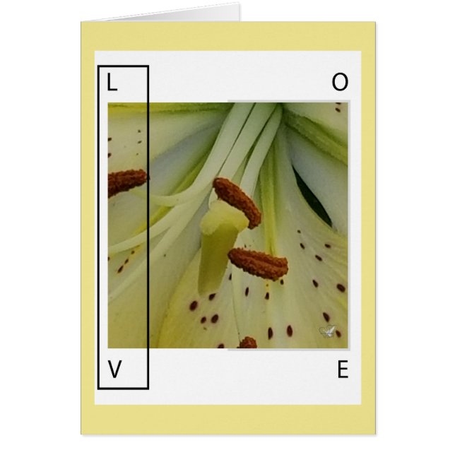 LIEBE IST LILIE - CHRISTLICHER GRUSS (Vorne)