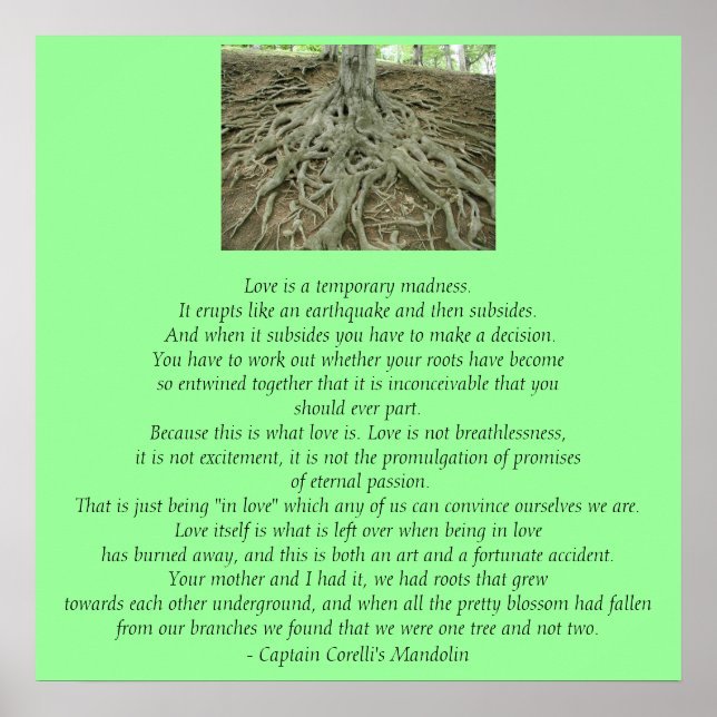 Liebe ist.. poster (Vorne)