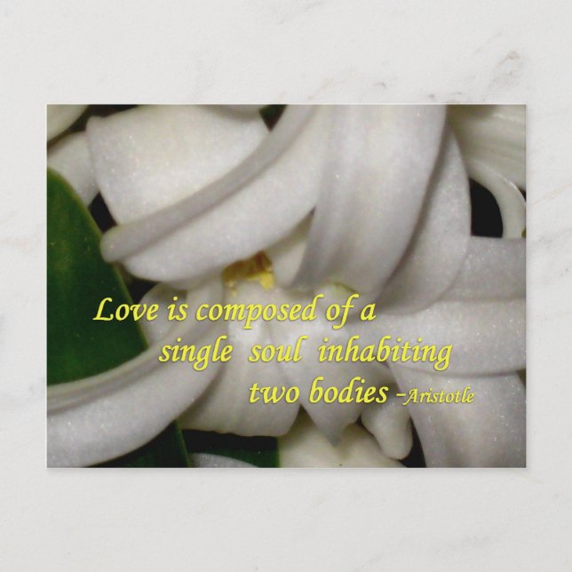 Liebe ist postkarte (Vorderseite)