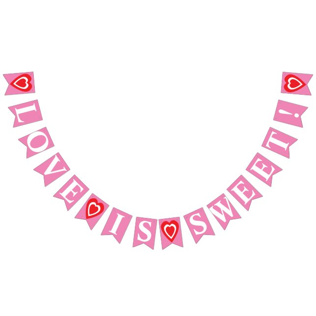 LIEBE IST SCHNELL! Rosa Valentinstag Wimpelkette (Alle)