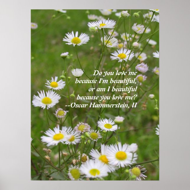 Liebe ist schön poster (Vorne)