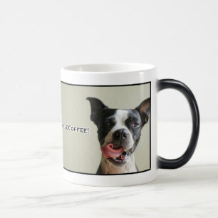 Liebe-Kaffee-Tasse Boston-Terrier-I Verwandlungstasse