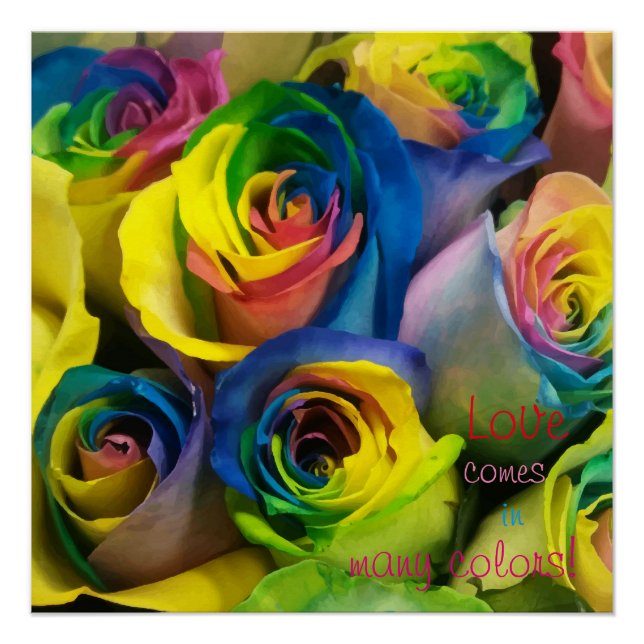 Liebe kommt in vielen Farben Rainbow Rose Poster (Vorderseite)