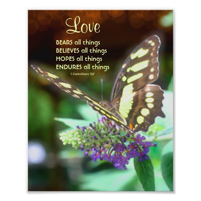 Liebe Korinther 13:7 Butterfly Bibelangebot 8x10 Fotodruck (Vorne)