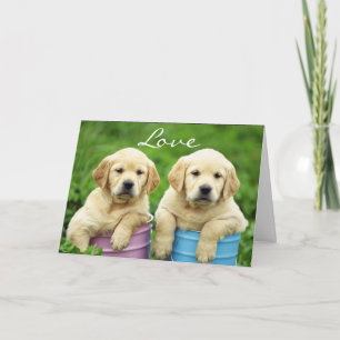 Liebe Labrabador Retriever Welpen Grußkarte Karte